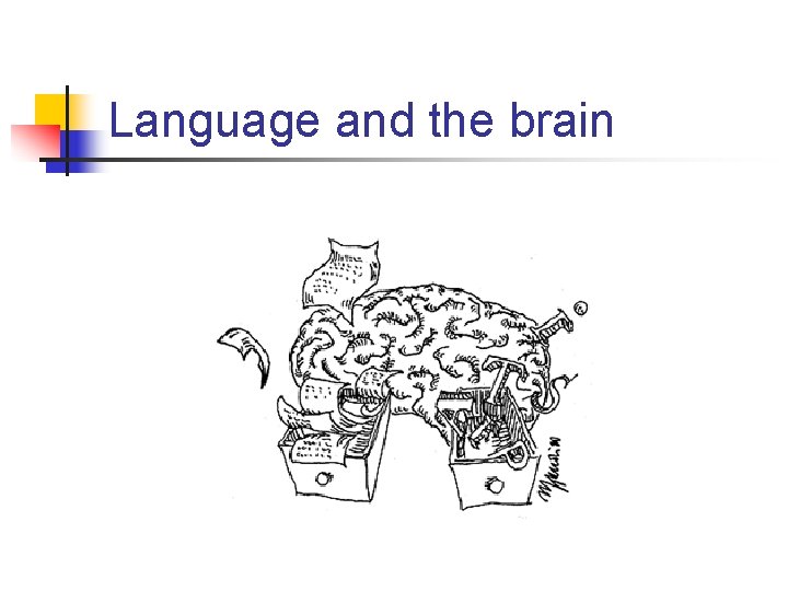 Language and the brain 