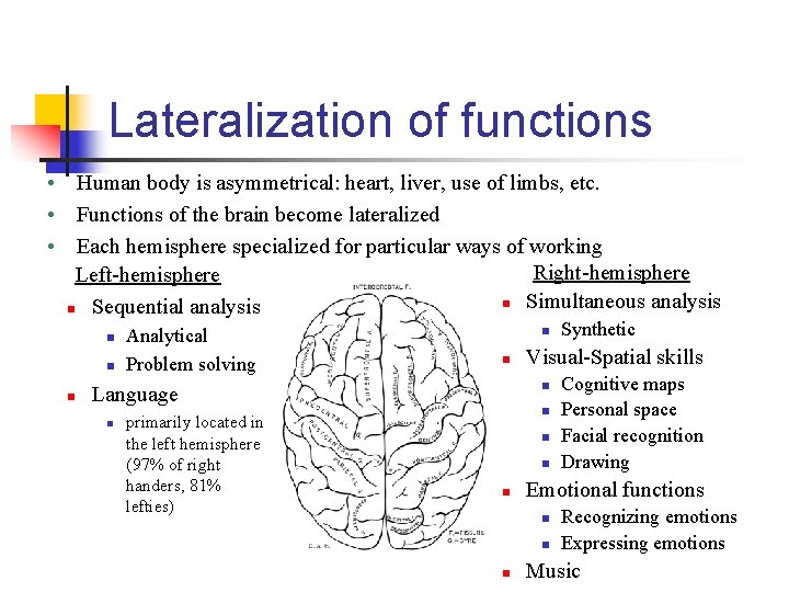 Lateralization of functions • Human body is asymmetrical: heart, liver, use of limbs, etc.