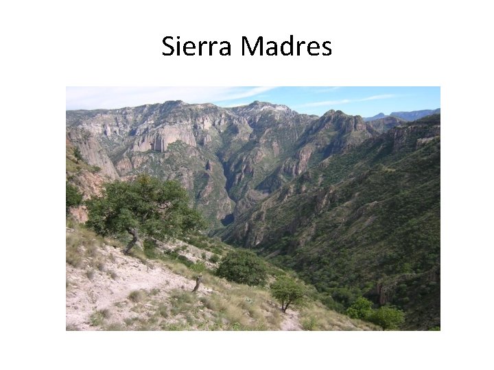 Sierra Madres 