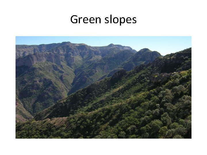 Green slopes 
