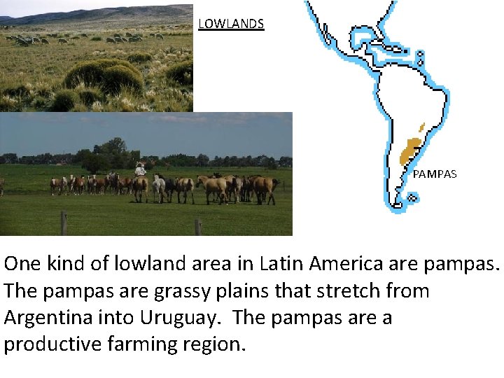LOWLANDS PAMPAS One kind of lowland area in Latin America are pampas. The pampas