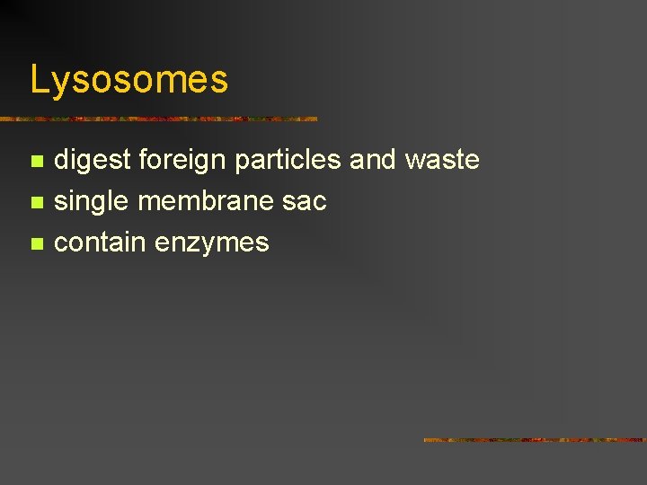 Lysosomes n n n digest foreign particles and waste single membrane sac contain enzymes