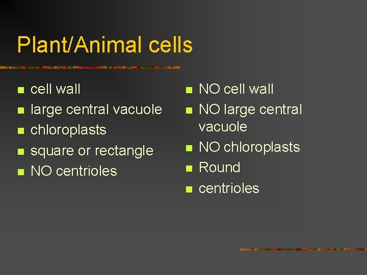 Plant/Animal cells n n n cell wall large central vacuole chloroplasts square or rectangle