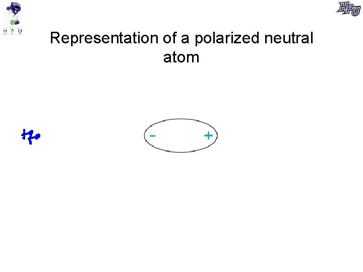 Representation of a polarized neutral atom 