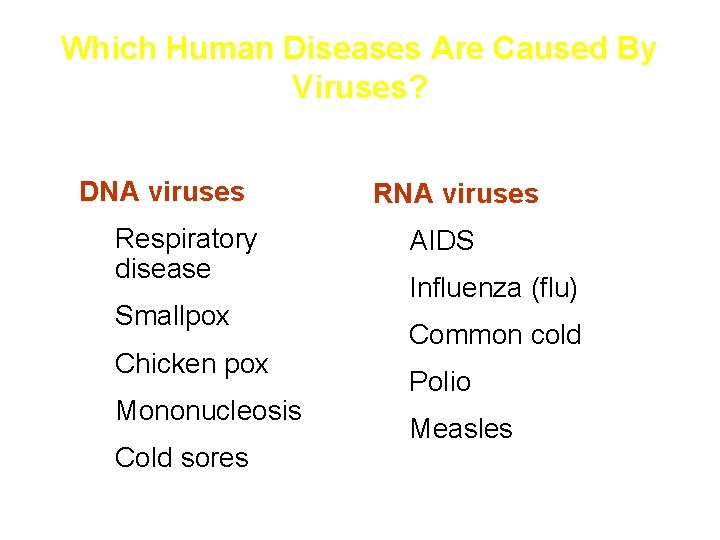 Which Human Diseases Are Caused By Viruses? Infectious diseases DNA viruses Respiratory disease Smallpox