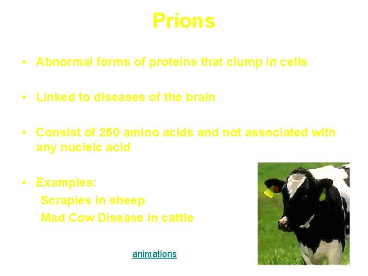 Prions • Abnormal forms of proteins that clump in cells • Linked to diseases