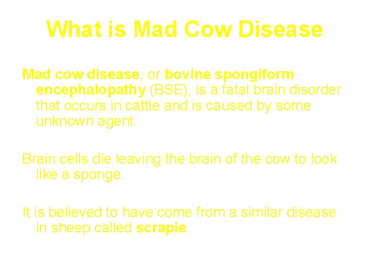 What is Mad Cow Disease Mad cow disease, or bovine spongiform encephalopathy (BSE), is