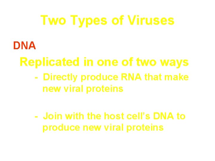 Two Types of Viruses DNA Replicated in one of two ways - Directly produce