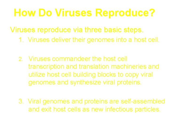 How Do Viruses Reproduce? Viruses reproduce via three basic steps. 1. Viruses deliver their