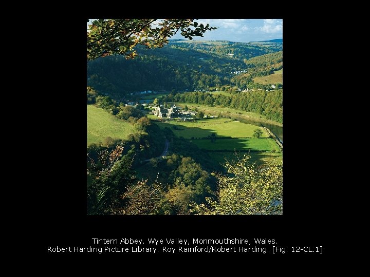 Tintern Abbey. Wye Valley, Monmouthshire, Wales. Robert Harding Picture Library. Roy Rainford/Robert Harding. [Fig.