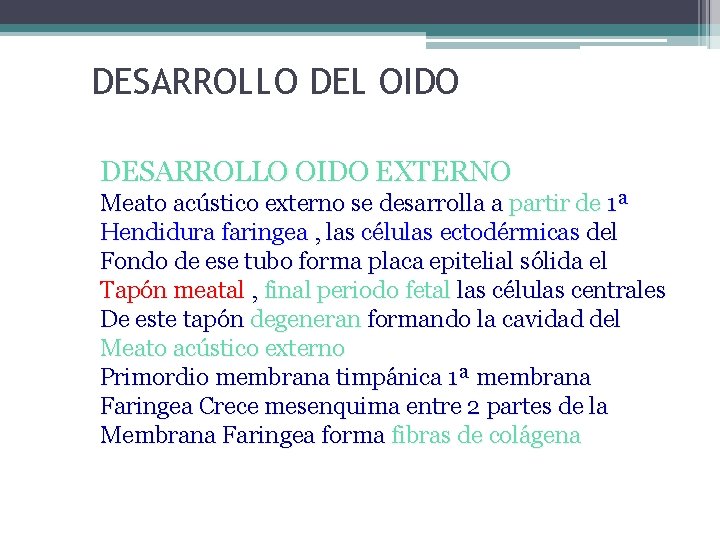 DESARROLLO DEL OIDO DESARROLLO OIDO EXTERNO Meato acústico externo se desarrolla a partir de