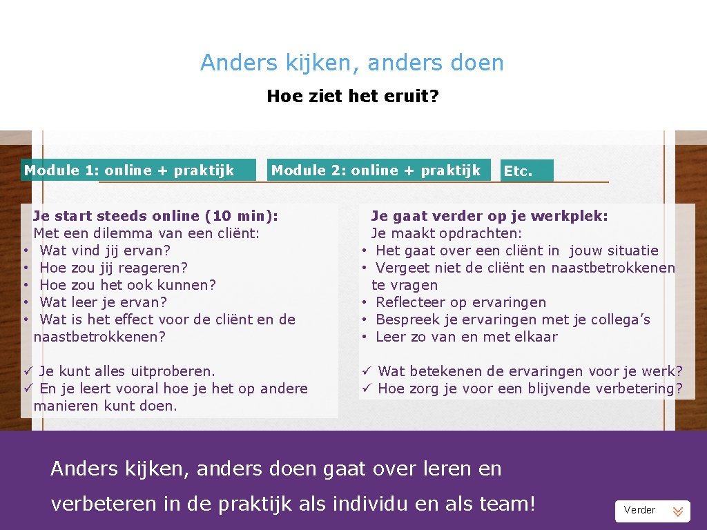 Anders kijken, anders doen Hoe ziet het eruit? Module 1: online + praktijk •