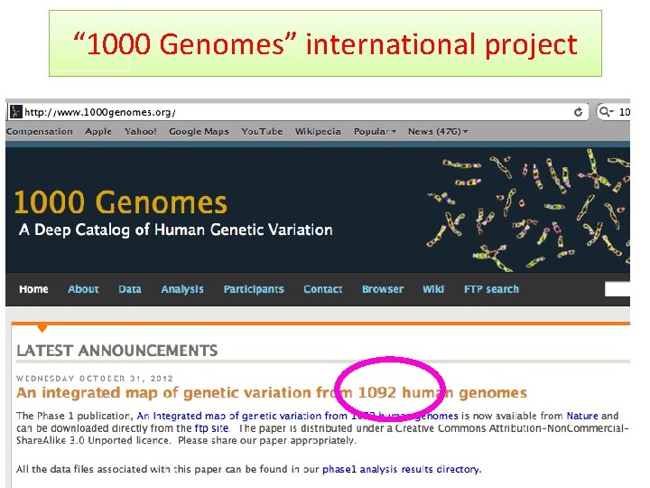 “ 1000 Genomes” international project 