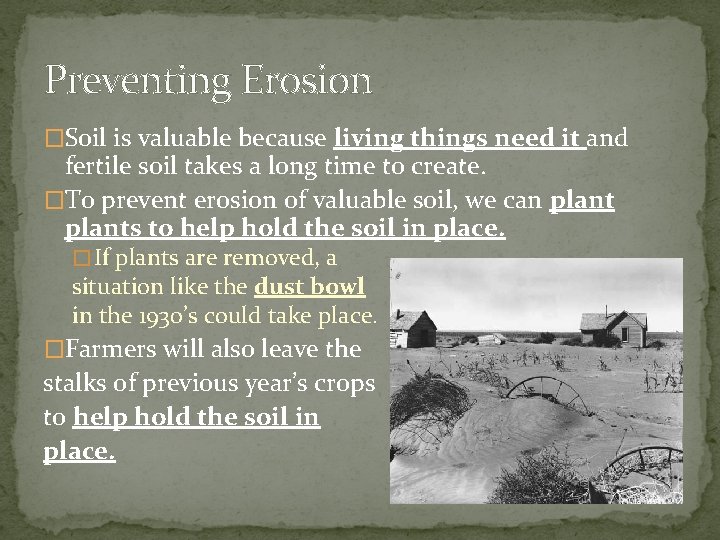 Preventing Erosion �Soil is valuable because living things need it and fertile soil takes