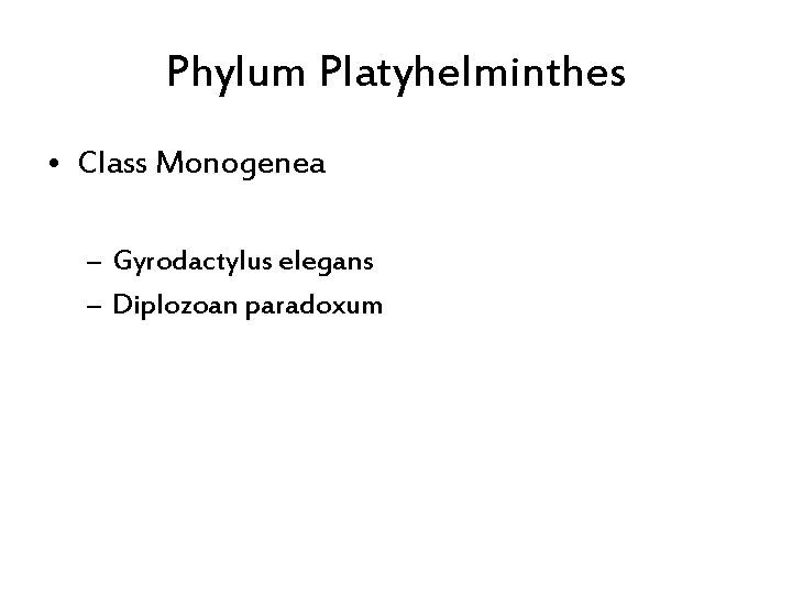 Phylum Platyhelminthes • Class Monogenea – Gyrodactylus elegans – Diplozoan paradoxum 