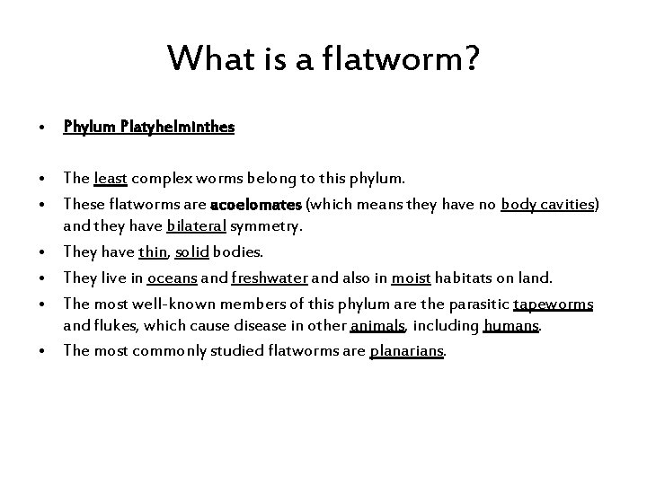 What is a flatworm? • Phylum Platyhelminthes • The least complex worms belong to