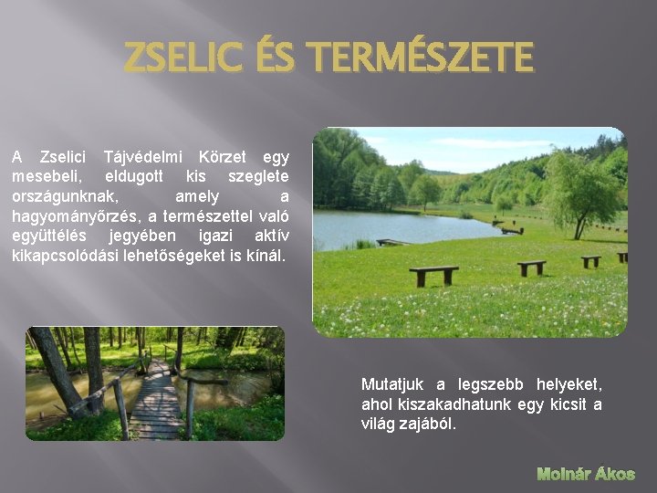 ZSELIC ÉS TERMÉSZETE A Zselici Tájvédelmi Körzet egy mesebeli, eldugott kis szeglete országunknak, amely