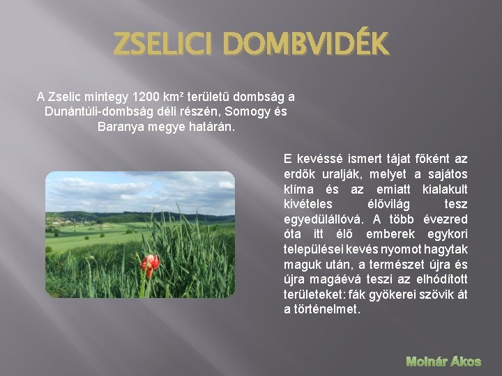 ZSELICI DOMBVIDÉK A Zselic mintegy 1200 km² területű dombság a Dunántúli-dombság déli részén, Somogy