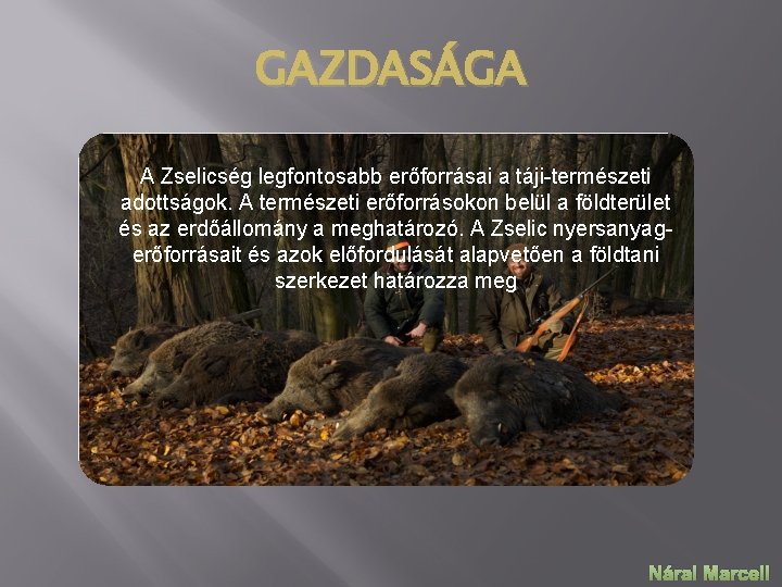 GAZDASÁGA A Zselicség legfontosabb erőforrásai a táji-természeti adottságok. A természeti erőforrásokon belül a földterület