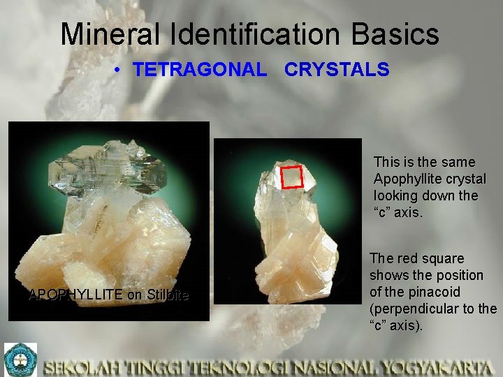 Mineral Identification Basics • TETRAGONAL CRYSTALS This is the same Apophyllite crystal looking down