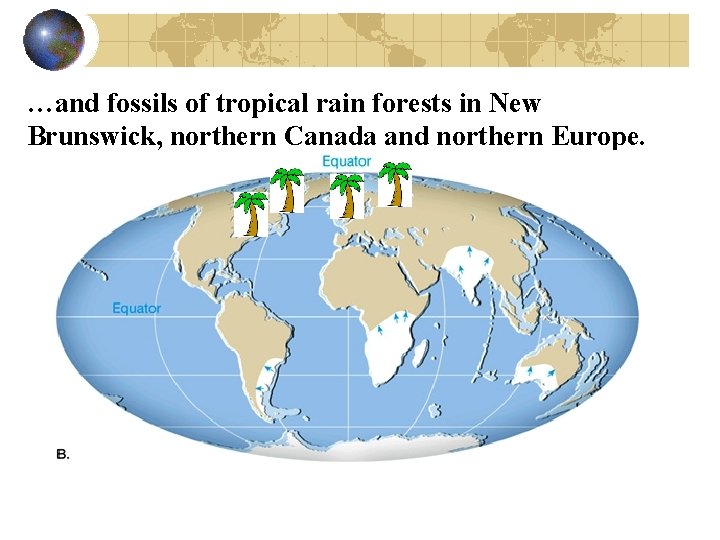 …and fossils of tropical rain forests in New Brunswick, northern Canada and northern Europe.