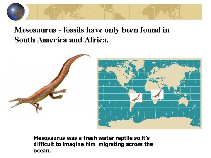 Mesosaurus - fossils have only been found in South America and Africa. Mesosaurus was