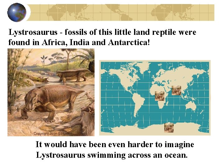 Lystrosaurus - fossils of this little land reptile were found in Africa, India and