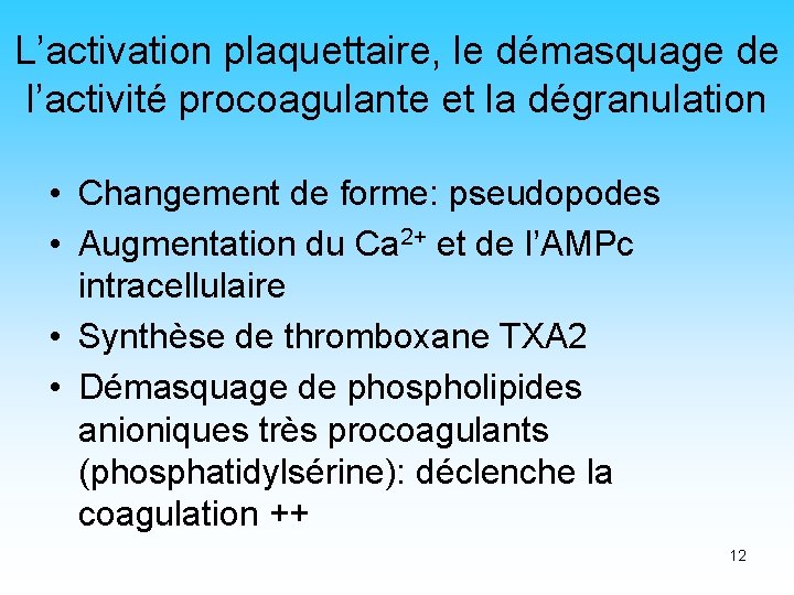 L’activation plaquettaire, le démasquage de l’activité procoagulante et la dégranulation • Changement de forme: