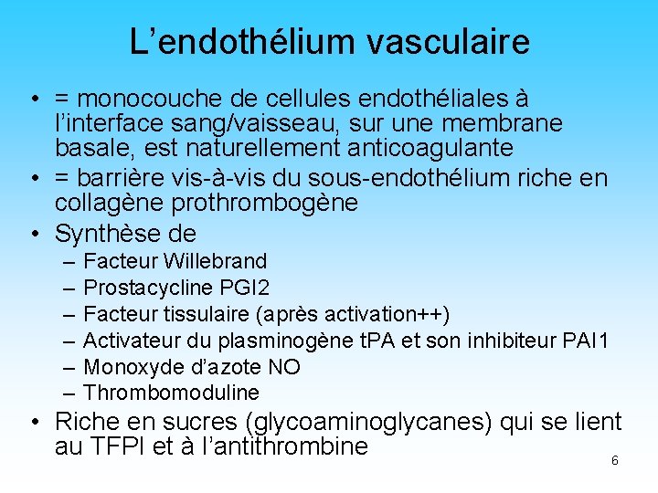 L’endothélium vasculaire • = monocouche de cellules endothéliales à l’interface sang/vaisseau, sur une membrane