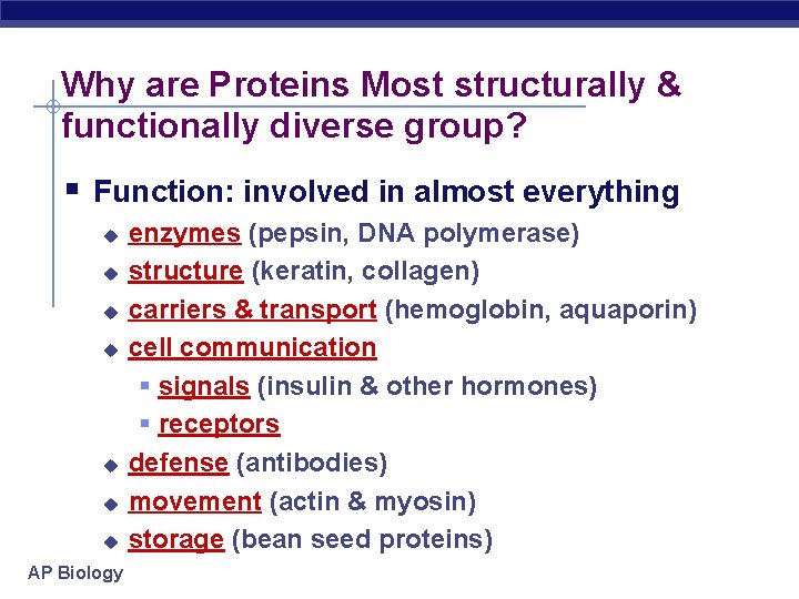 Why are Proteins Most structurally & functionally diverse group? Function: involved in almost everything