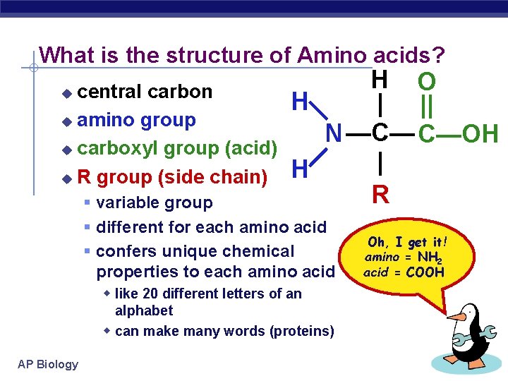 What is the structure of Amino acids? central carbon u amino group u carboxyl