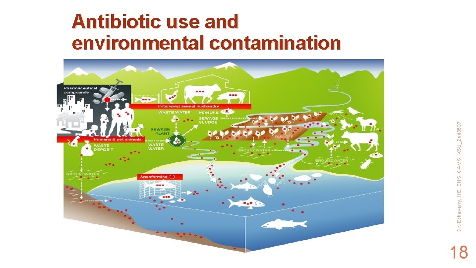 Dr. IEcheverry, HE, CHS, CAMS, KSU_2 nd 3637 Antibiotic use and environmental contamination 18