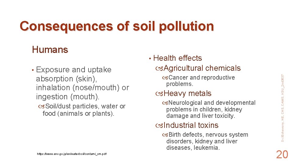 Consequences of soil pollution • Exposure and uptake absorption (skin), inhalation (nose/mouth) or ingestion