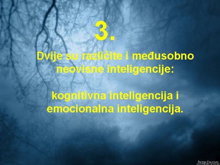 3. Dvije su različite i međusobno neovisne inteligencije: kognitivna inteligencija i emocionalna inteligencija. 