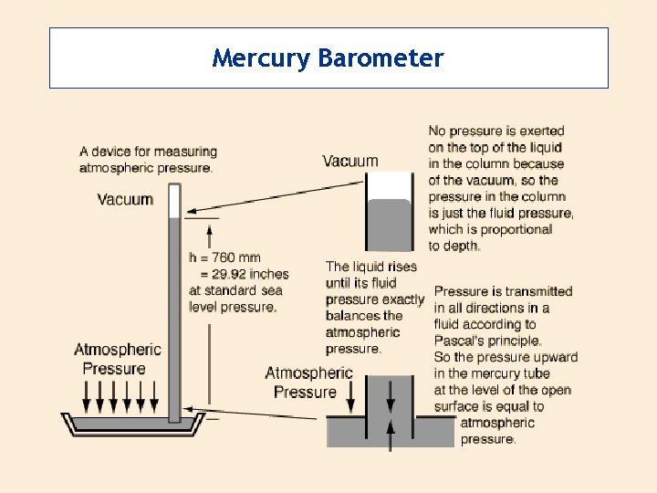 Mercury Barometer 