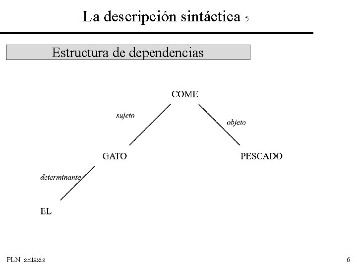 La descripción sintáctica 5 Estructura de dependencias PLN sintaxis 6 
