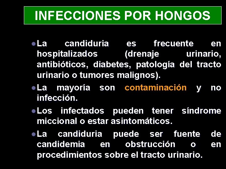 INFECCIONES POR HONGOS l La candiduria es frecuente en hospitalizados (drenaje urinario, antibióticos, diabetes,