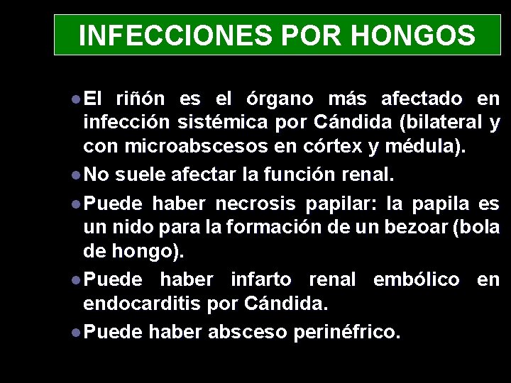 INFECCIONES POR HONGOS l El riñón es el órgano más afectado en infección sistémica