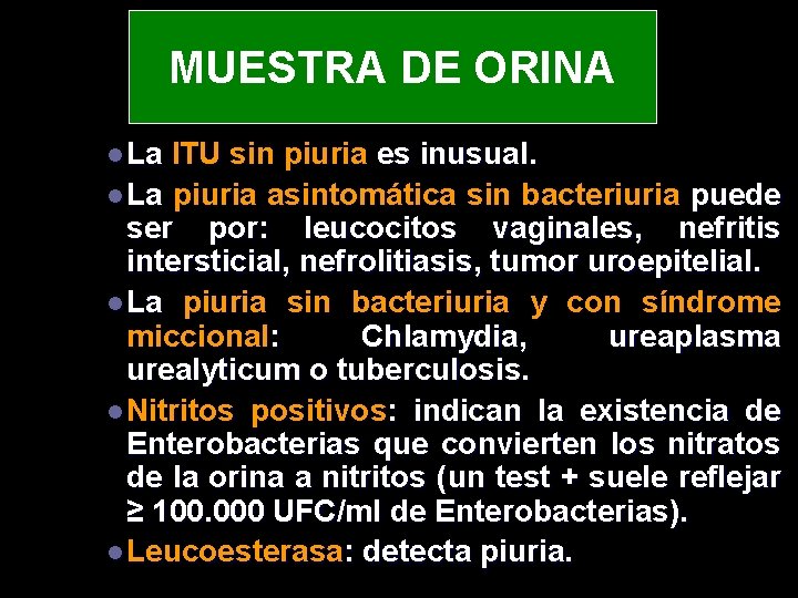 MUESTRA DE ORINA l La ITU sin piuria es inusual. l La piuria asintomática