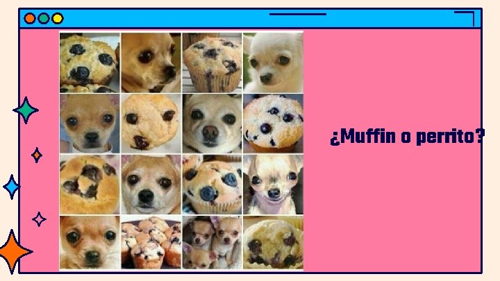 ¿Muffin o perrito? 