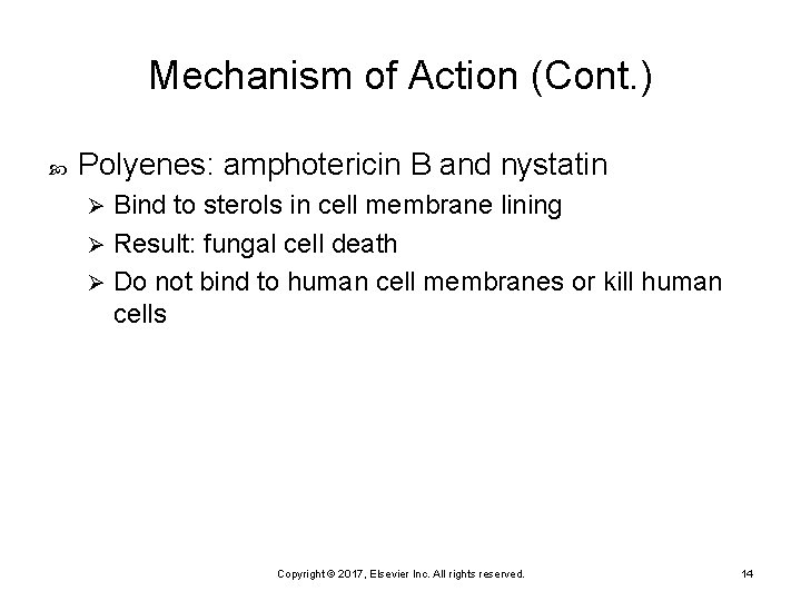 Mechanism of Action (Cont. ) Polyenes: amphotericin B and nystatin Bind to sterols in