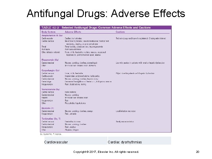 Antifungal Drugs: Adverse Effects Cardiovascular Cardiac dysrhythmias Copyright © 2017, Elsevier Inc. All rights