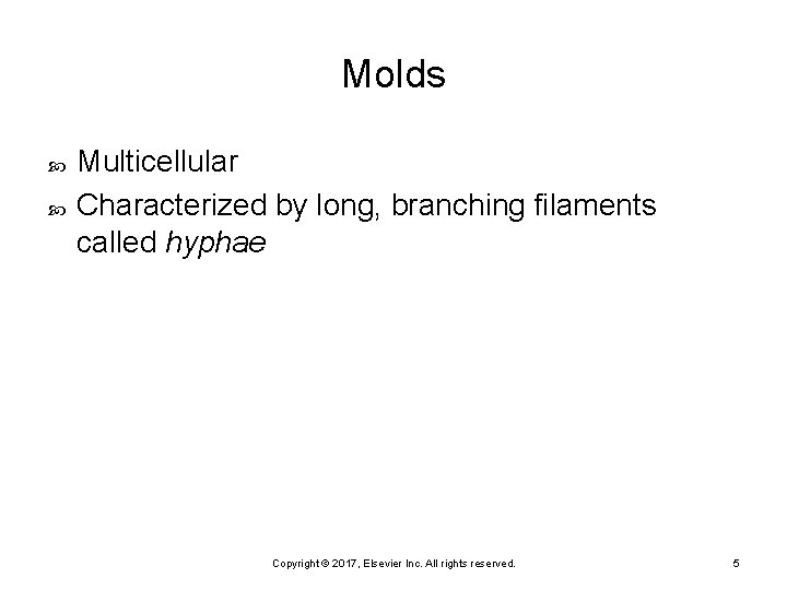 Molds Multicellular Characterized by long, branching filaments called hyphae Copyright © 2017, Elsevier Inc.