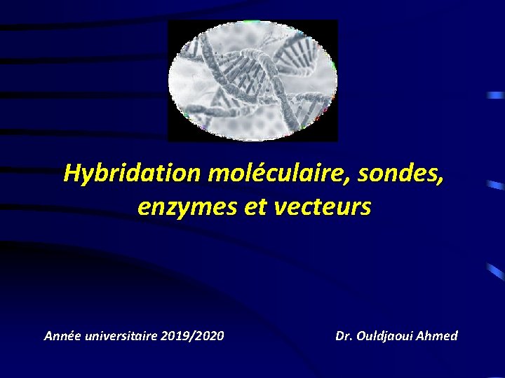 Hybridation moléculaire, sondes, enzymes et vecteurs Année universitaire 2019/2020 Dr. Ouldjaoui Ahmed 