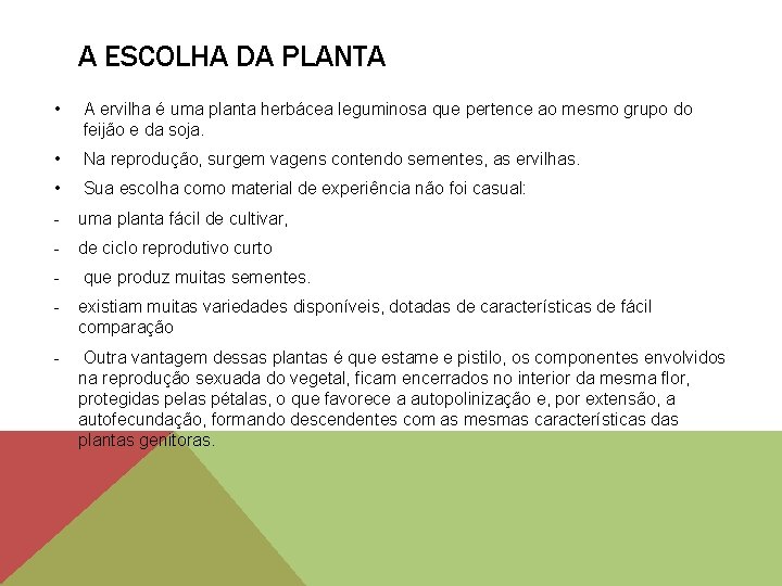 A ESCOLHA DA PLANTA • A ervilha é uma planta herbácea leguminosa que pertence