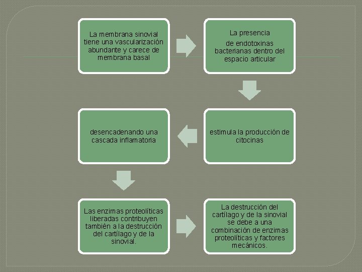 La presencia La membrana sinovial tiene una vascularización abundante y carece de membrana basal