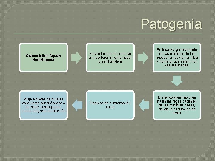 Patogenia Osteomielitis Aguda Hematógena Viaja a través de túneles vasculares adheriéndose a la matriz