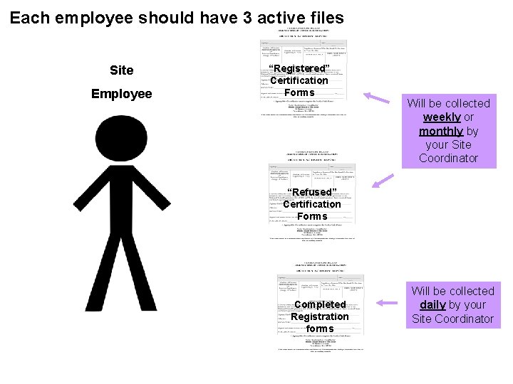 Each employee should have 3 active files Site Employee “Registered” Certification Forms Will be