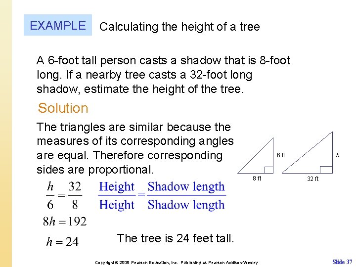 EXAMPLE Calculating the height of a tree A 6 -foot tall person casts a