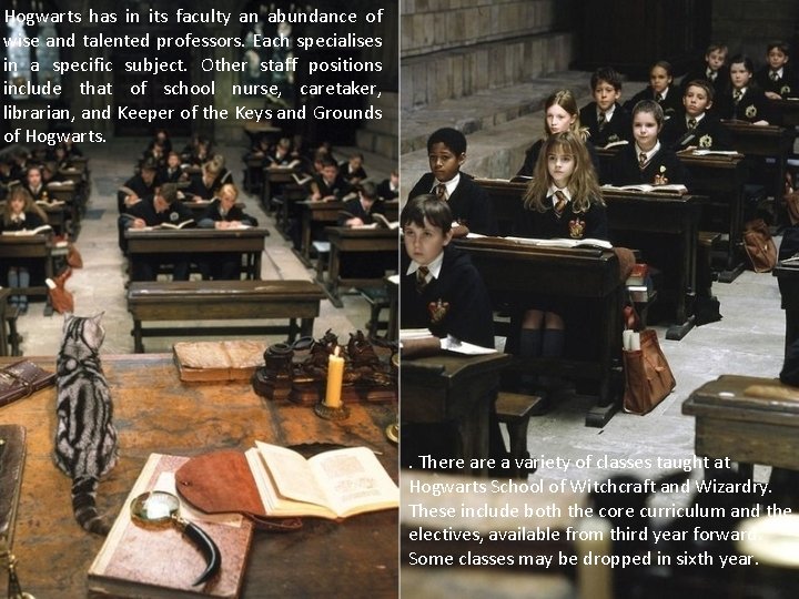 Hogwarts has in its faculty an abundance of wise and talented professors. Each specialises